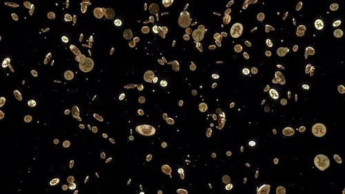 Seamlessly Looping Golden Yuan Coins Background