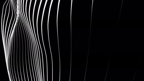 Abstract White Wavy Lines Morphing Animation