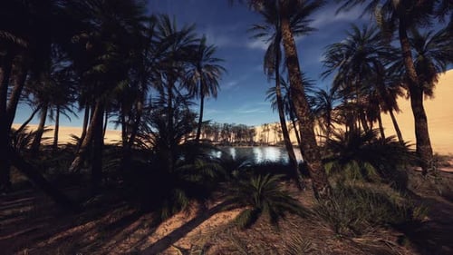 Quiet Countryside Landscape with Tall Wooded Trees and Sparkling Water Bodies