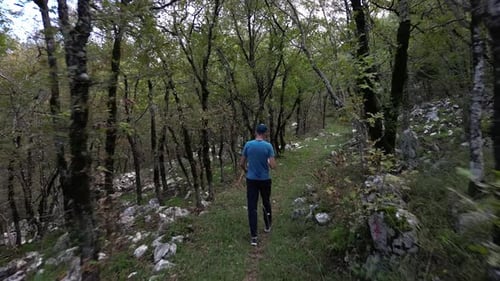 Junger Mann geht alleine auf einem Pfad durch einen sonnigen Wald und genießt die Aussicht auf die Natur