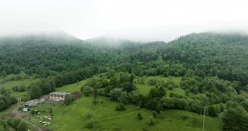 Lush Green Forest Shrouded By Clouds And Fog In The Early Morning In Bakuriani, Georgia. - aerial