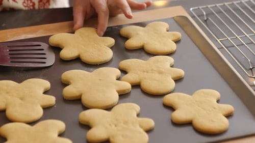 Gingerbread cookies cooling on rack after holiday baking preparation