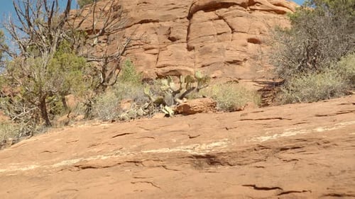 Cinematic Beautiful Red Rock in Sedona Arizona On A Sunny Day