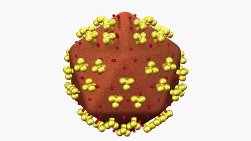 renderização 3D da estrutura do vírus
