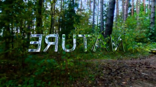 Chrome inscription nature forest 3d render. Environmental conservation concept, nature protection
