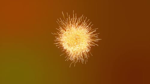 Fantastic Rotating Golden Particles