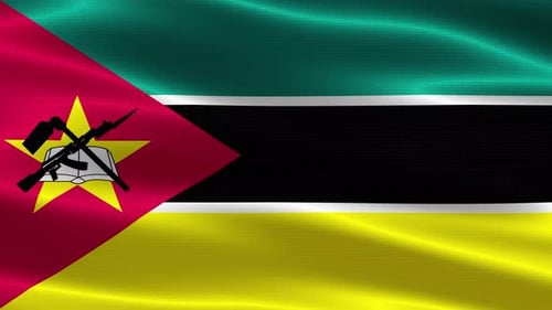 Realistic Waving Flag of Mozambique Loop Background