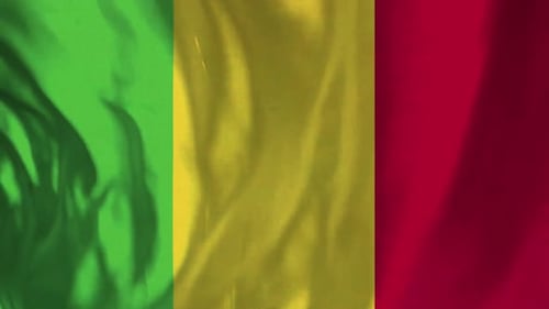 Realistic Waving Green Yellow Red Vertical Flag Animation