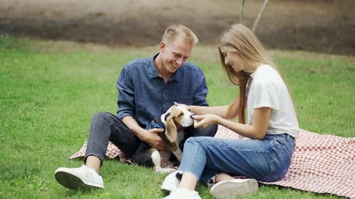 Young Couple Giving Beagle Treats on Blanket