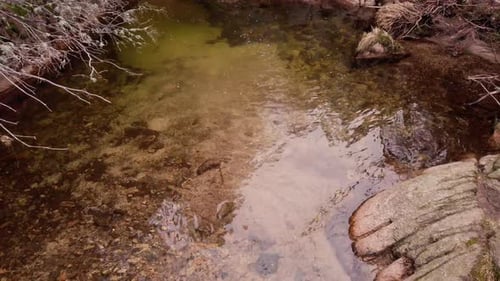 Eine Sockelaufnahme eines kleinen Teichs mit einem Wasserfall im Hintergrund