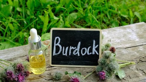 Burdock Supplements in Nature Selective Focus
