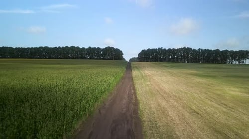 Green field aerial view in Ukraine