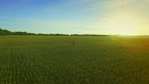 Young woman running freely through golden wheat field on beautiful summer day