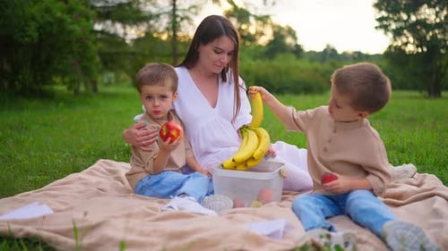 Picnic Pregnant Mom Boys Twins