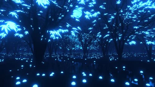 Magic forest video footage.