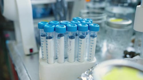 Tubes à essai scientifiques rangés après une expérience. Tubes à essai contenant un échantillon scientifique