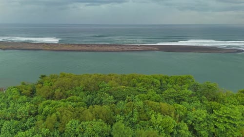 Aerial view of green mangrove forest on the coastline. Tropical rainforest nature.
