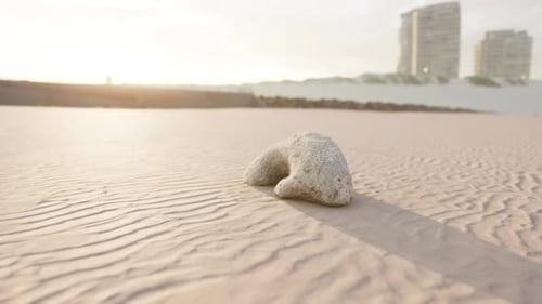 Old White Coral on Sand Beach
