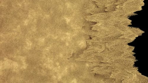 Golden Fluid Particles Wipe Transition