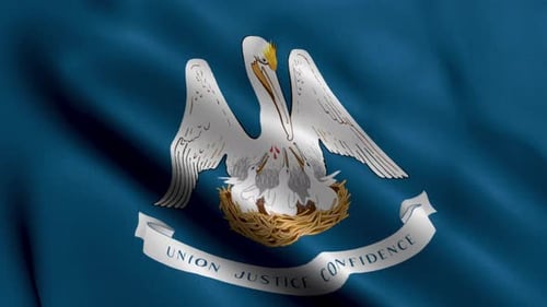 Realistic Waving Flag with Pelican and Young Emblem