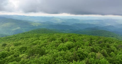 Mountain Forest with Green Canopies in Humid Summertime Season North Carolina Wild Woods Nature in