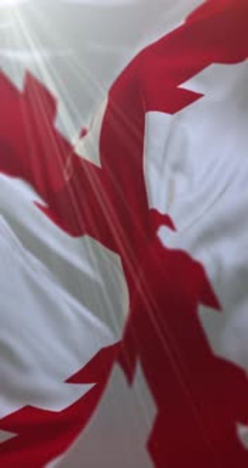 Bandeira da Cruz da Borgonha