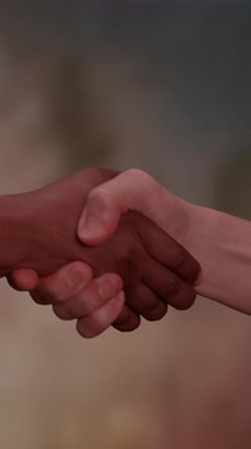 Varias manos diversas que se agitan juntas en unidad, simbolizando la cooperación y la armonía