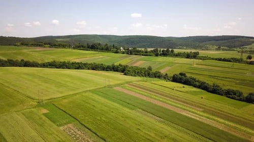 Aerial View of Green Agriculture Fields in Spring with Fresh Vegetation After Seeding Season