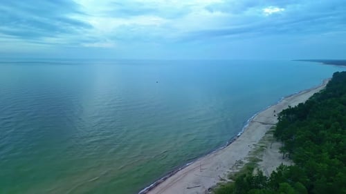 Beautiful aerial shot of coastal beach with palm trees and an endless view of the ocean and sky.