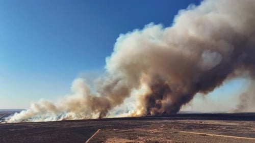 Los incontrolables incendios forestales amenazan las granjas, los animales y la vida humana, y obligan a la evacuación en un caso de vida y muerte