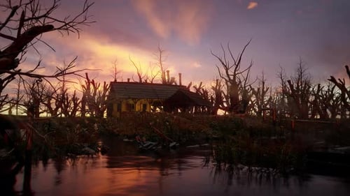 Swamp at Sunset