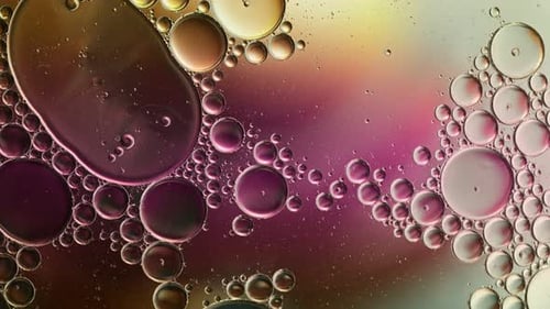 Abstract Colorful Food Oil Drops Bubbles And Spheres Flowing On Water A Surface 19