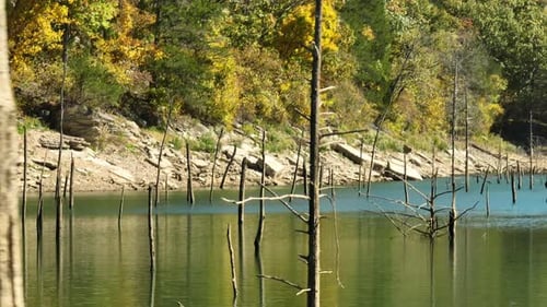 Wooden Poles Standing Over Lake In Eagle Hollow Cave, Arkansas, USA. Aerial Close-Up Shot