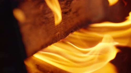 A close-up of wood burning in an open fire A bright flame of fire burns log for outdoor barbecuing