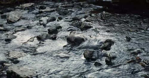 4K Babbling Creek in the forest. Small river flowing over rocks and stones filmed in 4K (4096x2160)