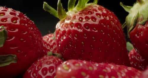 Strawberries Red Juicy Ripe Strawberries Closeup Delicious Summer Berries Background of Fresh