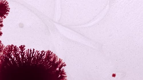 Gouttes d'encre et formes surréalistes étalées sur la surface de fond 44