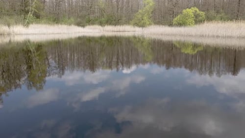 Un étang au milieu des champs et des arbres