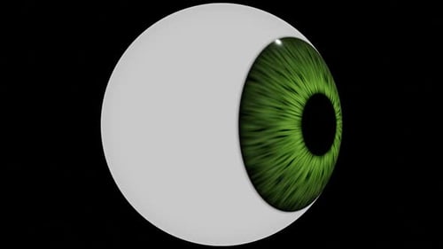 Animated Green Eyeball with Pupil Dilation and Constriction