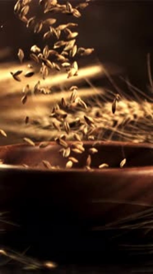 The Super Slow Motion of Wheat Grains Falls on a Plate on the Table Filmed on a Highspeed Camera at