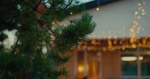 Holiday Lights Adorn Home at Night