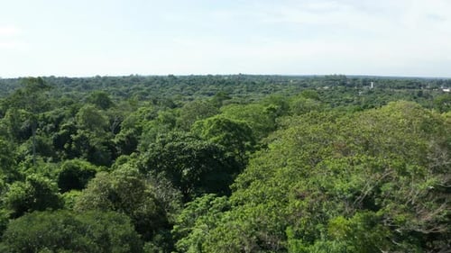Vue aérienne : jungle, parc national d'Iguazú, Misiones, Argentine, vue panoramique vers l'avant