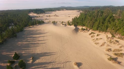 Oregon Coast Dunes Aerial View