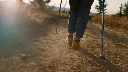 Woman Hiking Back View Summer Mountains