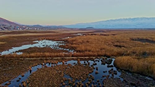 Sunrise Aerial View of Serene Marshy Landscape
