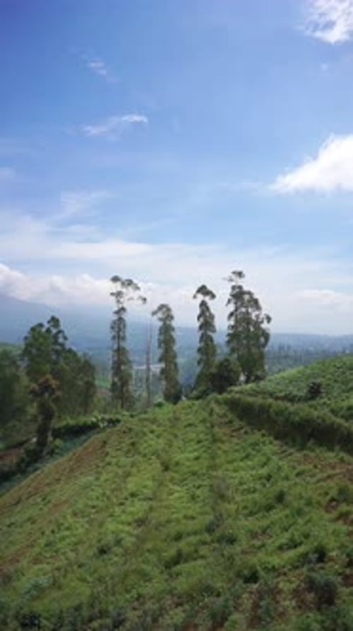 beautiful vertical video portrait beautiful mountain natural scenery hilly nature panorama