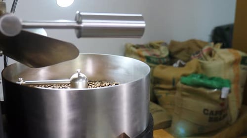 Coffee Beans Roasted in Industrial Silver Machine