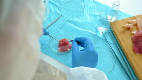 Scientist Analyzing Meat Sample in Petri Dish