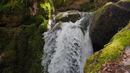 Small mountain river with crystal clear water. Water flows over the stones overgrown with moss in gr