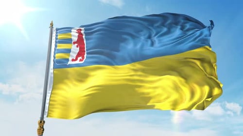 Bandera de la región de Transcarpacia